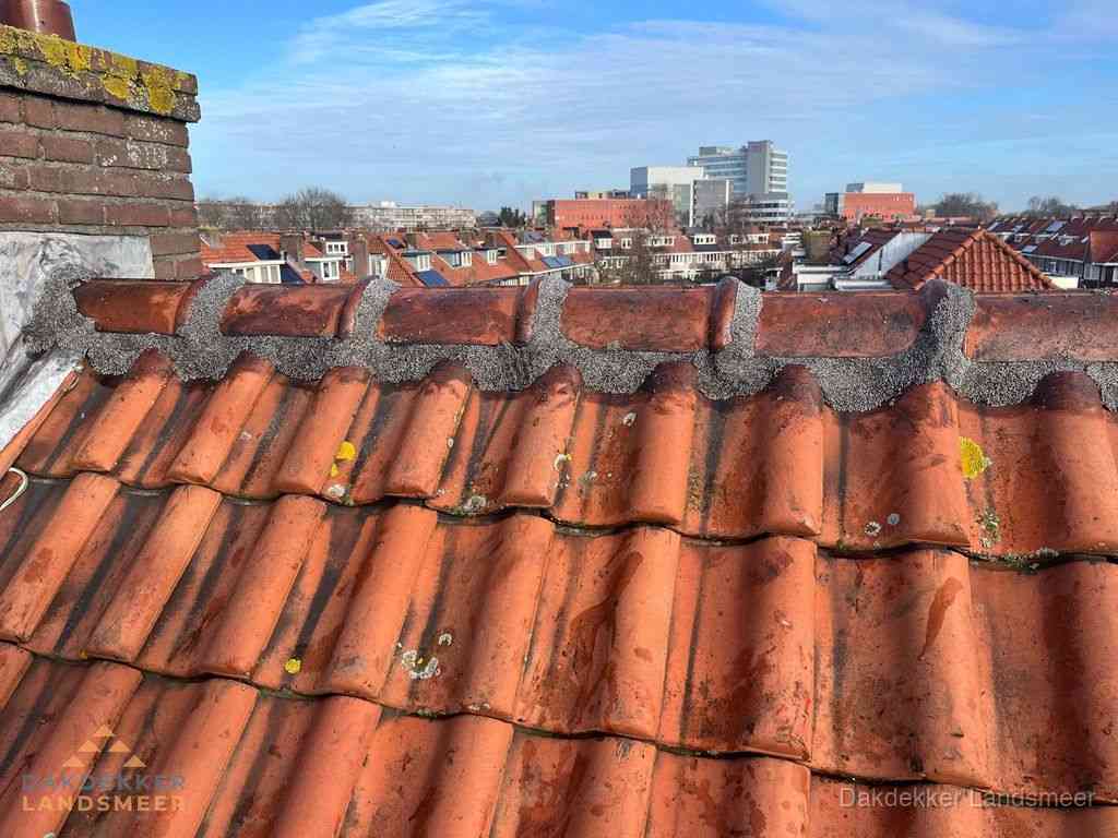 Nieuw bitumen plat dak met uitzicht over woonwijk in Landsmeer