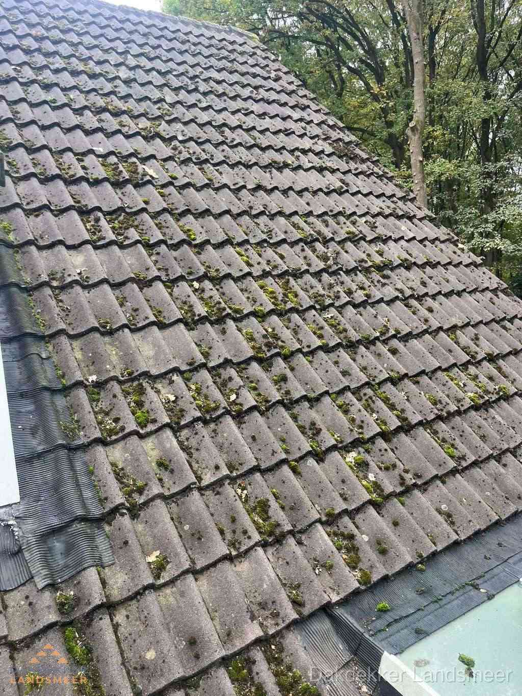 Verweerd pannendak met mosgroei dat renovatie nodig heeft in Landsmeer
