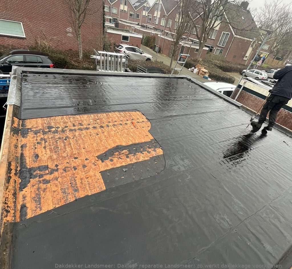 Dakleer Reparatie Landsmeer