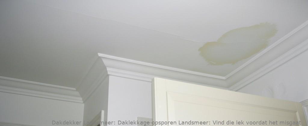 Daklekkage Opsporen Landsmeer 1